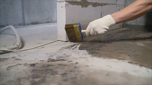 SJ Waterproofing Pros Waterproofing coverage map for Henderson, GA and surrounding area